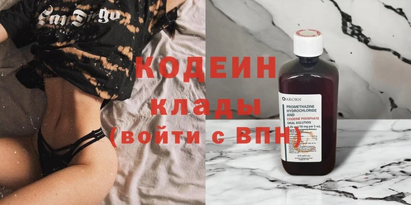 дживик Пересвет