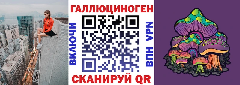 как найти закладки  Козельск  Псилоцибиновые грибы Cubensis 